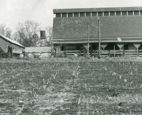 Mule Barn
